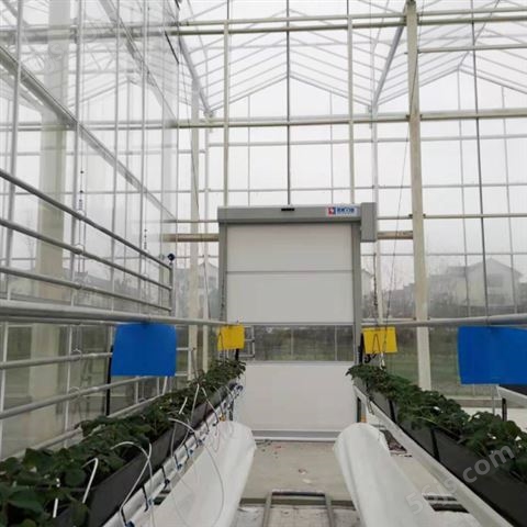 上海蔬菜植物培育大棚智能快速卷帘门