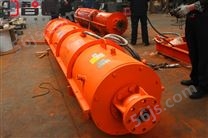 天津 智匠泵业 10KV高压矿用潜水泵