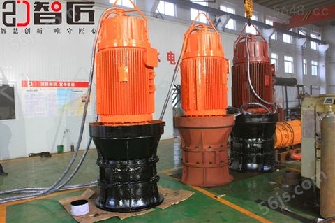 天津 智匠泵业 立式潜水轴流泵